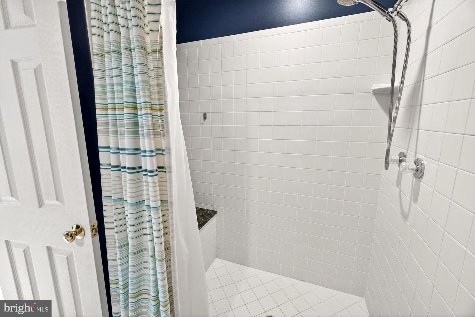 17212 Whites Road Poolesville, MD 20837 - Photo 55 of 104 Owner's suite walk-in shower