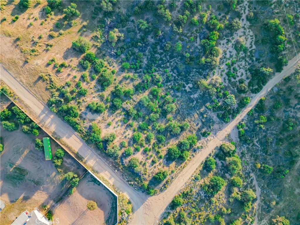 0 Alta Mesa Road Oak Hills, CA 92344 - Photo 7 of 10 a close up of a tree