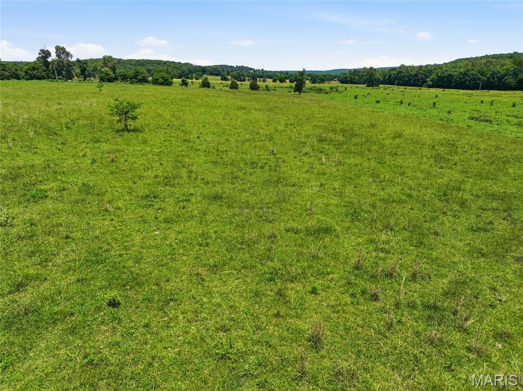 0 Pleasant Hill Road Mountain Grove, MO 65711 - Photo 20 of 51