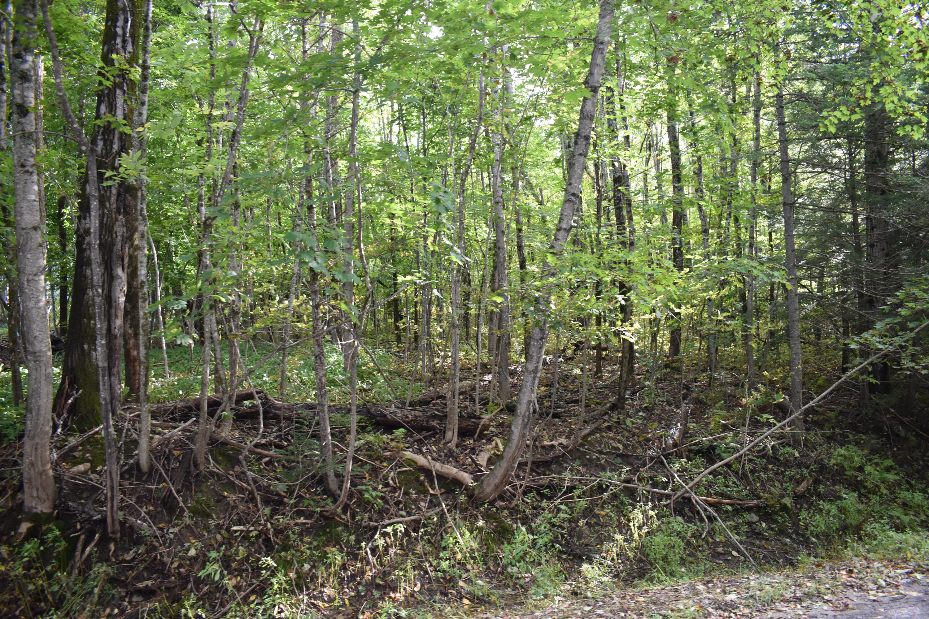 1 Lane Hill Road Lincoln, ME 04457 - Photo 29 of 31 DSC_0295