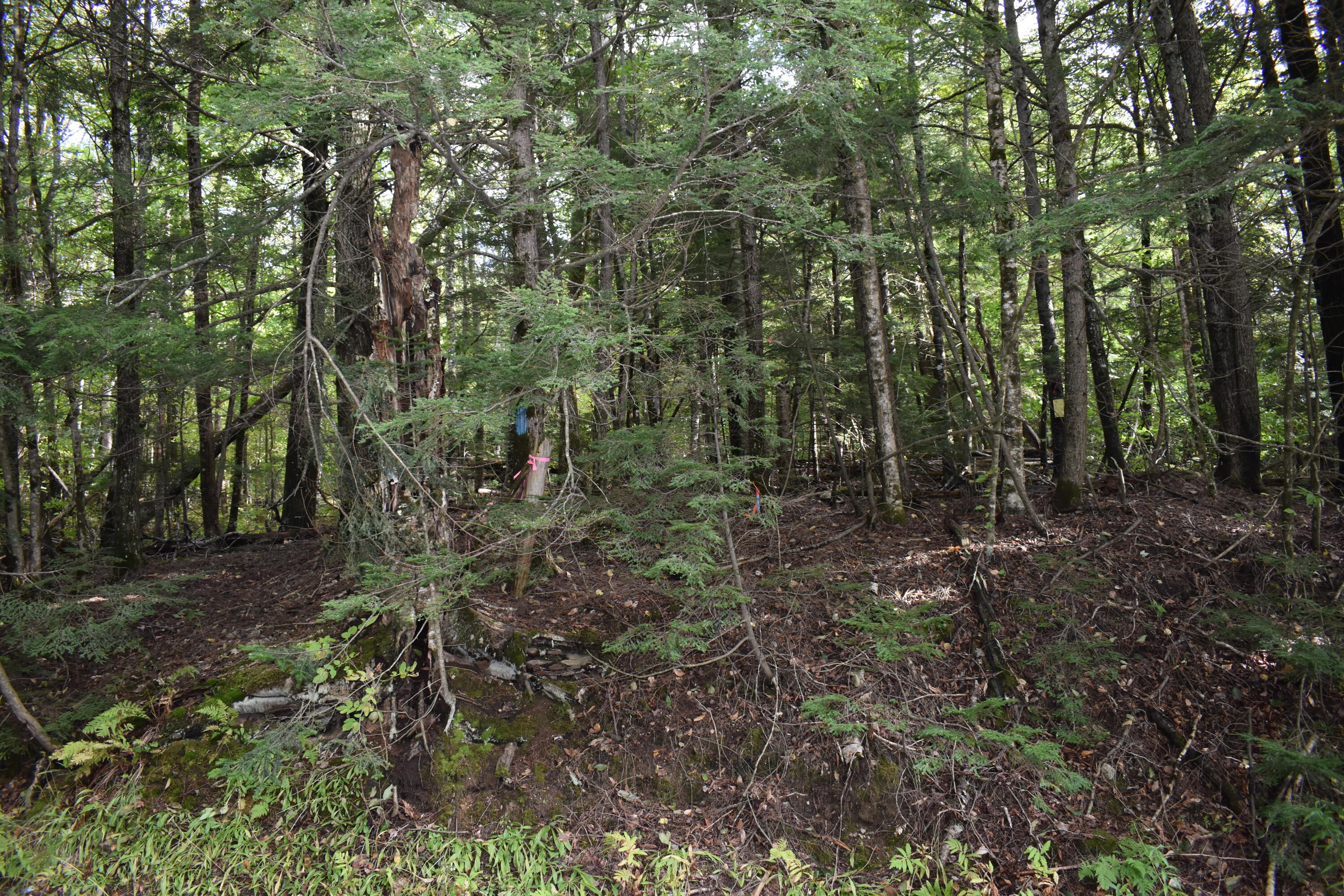 1 Lane Hill Road Lincoln, ME 04457 - Photo 30 of 31 DSC_0296