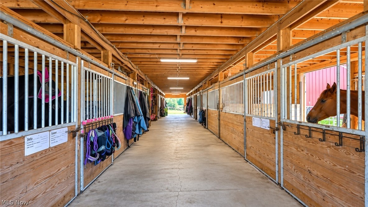 18 Manning Road Mogadore, OH 44260 - Photo 3 of 47 Multiple horse stalls with wood-paneled bases and metal grates, concrete flooring, and exposed timber ceiling beams