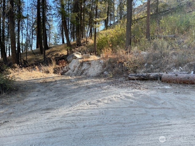 1 South Lakeshore Road Chelan, WA 98816 - Photo 4 of 9