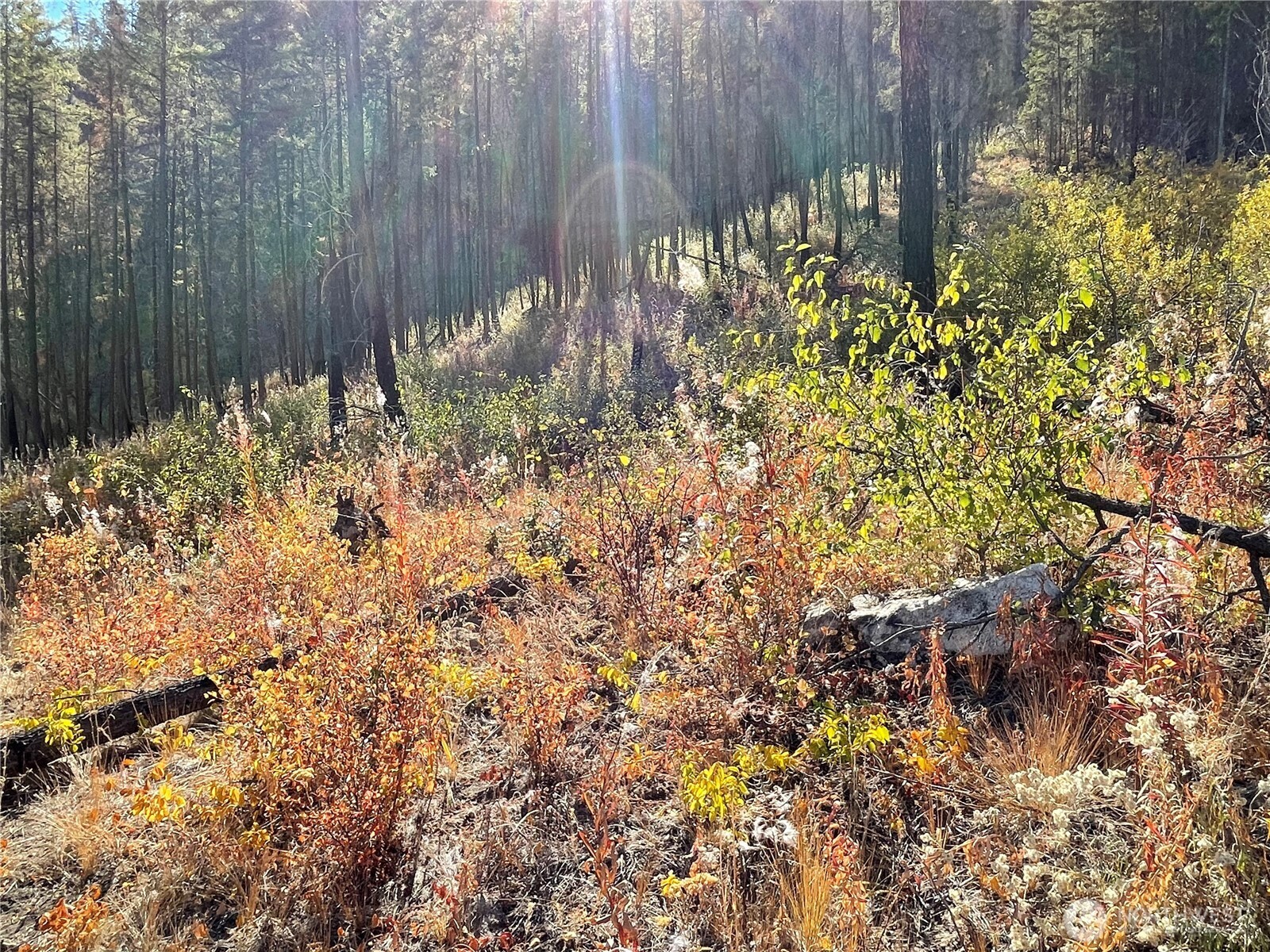 1 South Lakeshore Road Chelan, WA 98816 - Photo 5 of 9