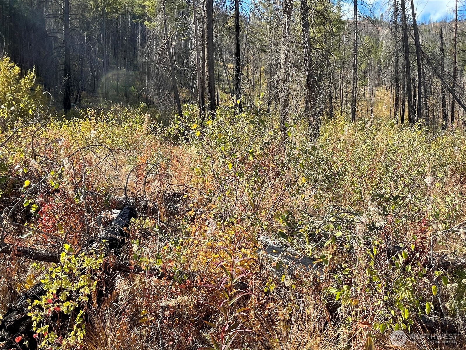 1 South Lakeshore Road Chelan, WA 98816 - Photo 7 of 9