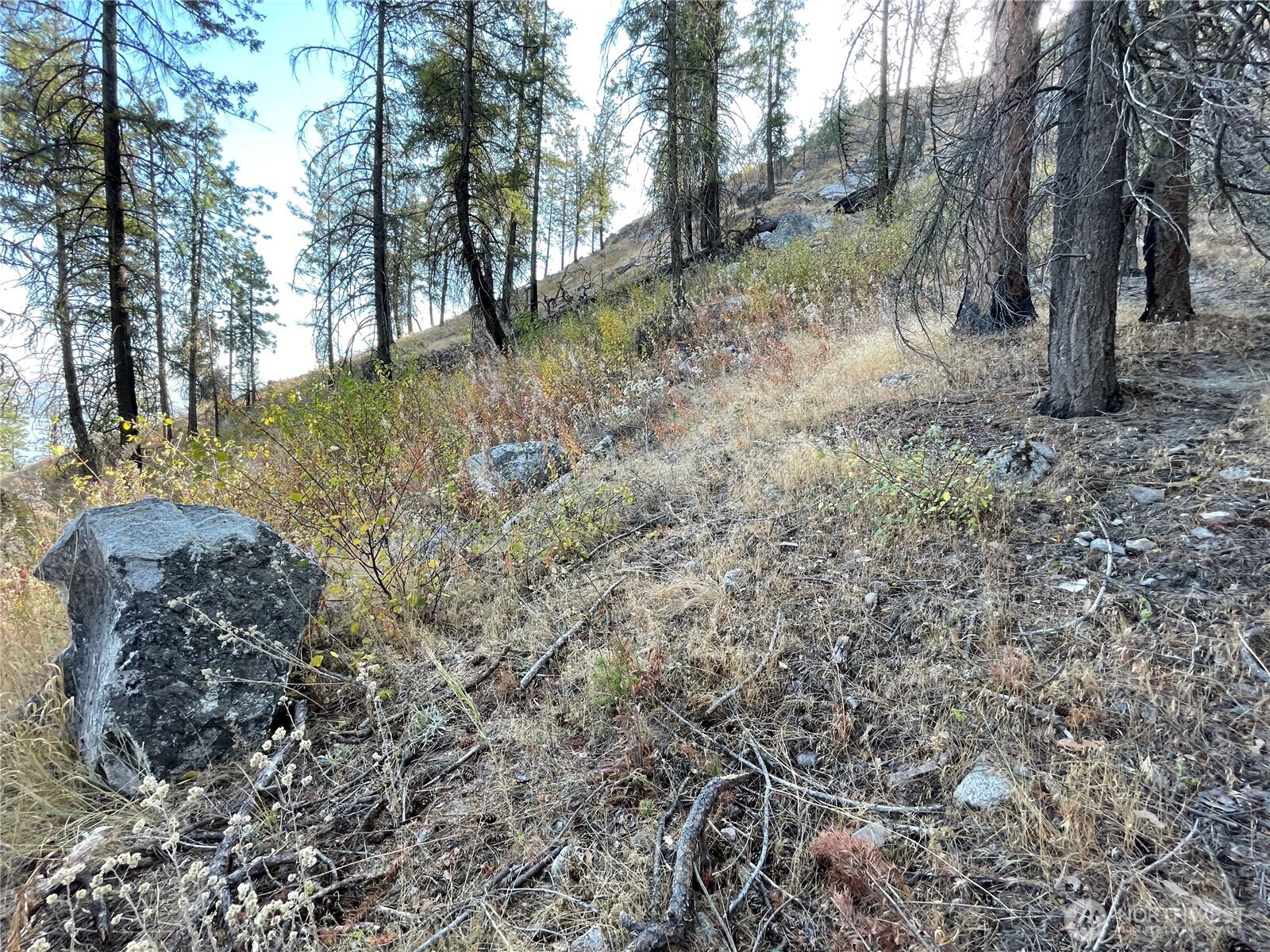 1 South Lakeshore Road Chelan, WA 98816 - Photo 9 of 9