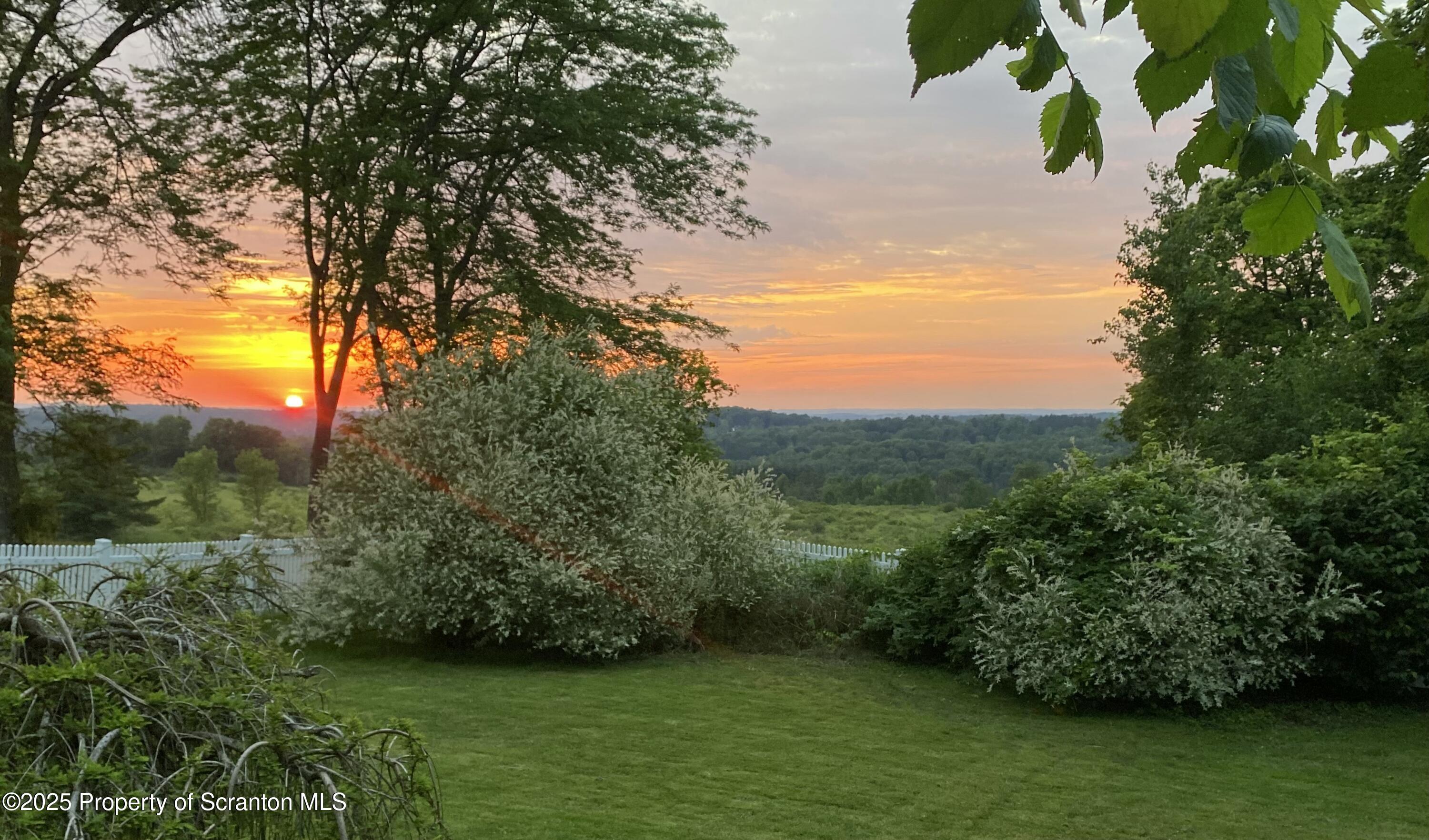 525 North Abington Road Clarks Summit, PA 18411 - Photo 2 of 61 a view of a garden with a tree