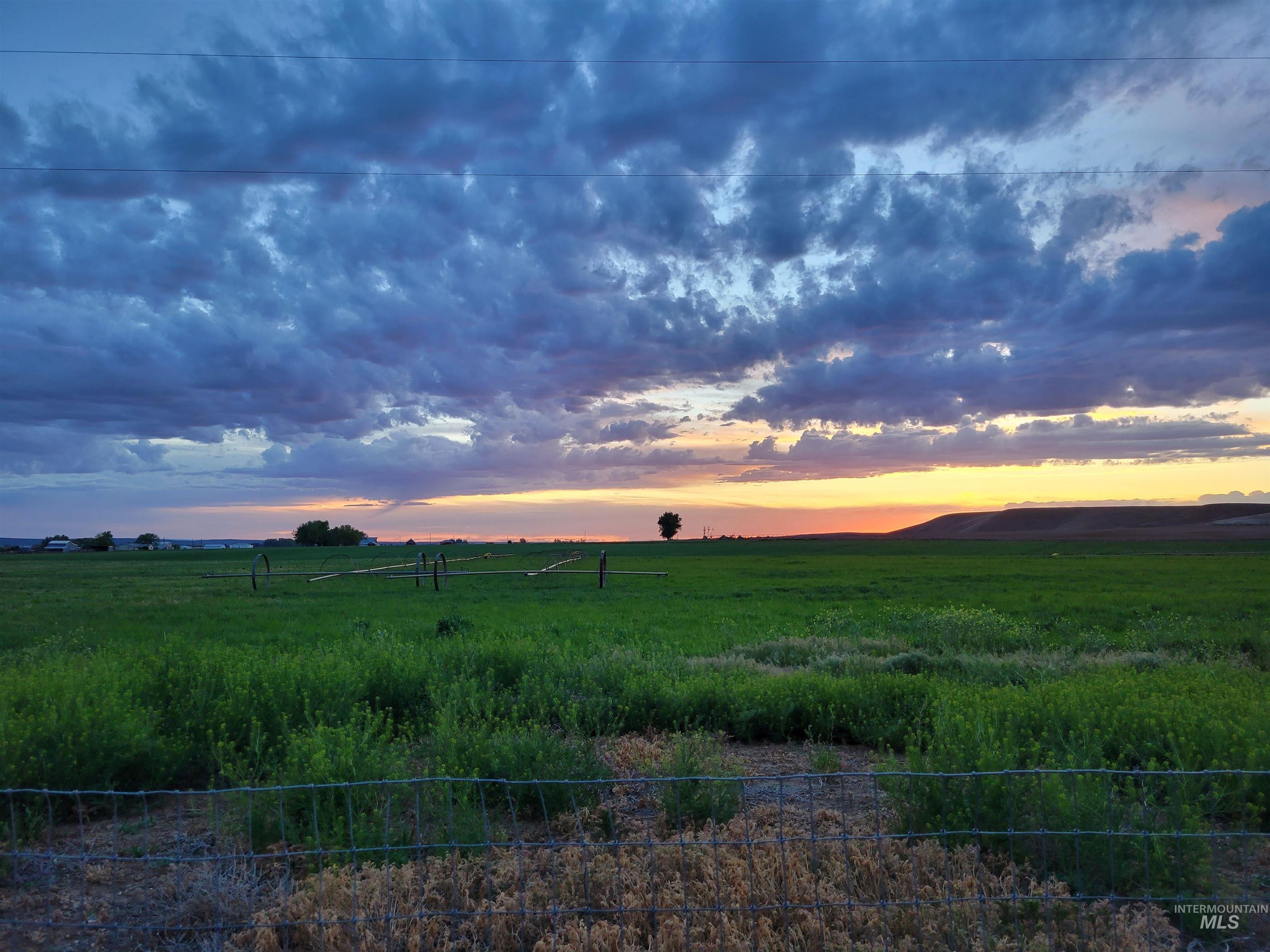 1631 Ruby Lane Emmett, ID 83617 - Photo 7 of 8 View of nature at dusk