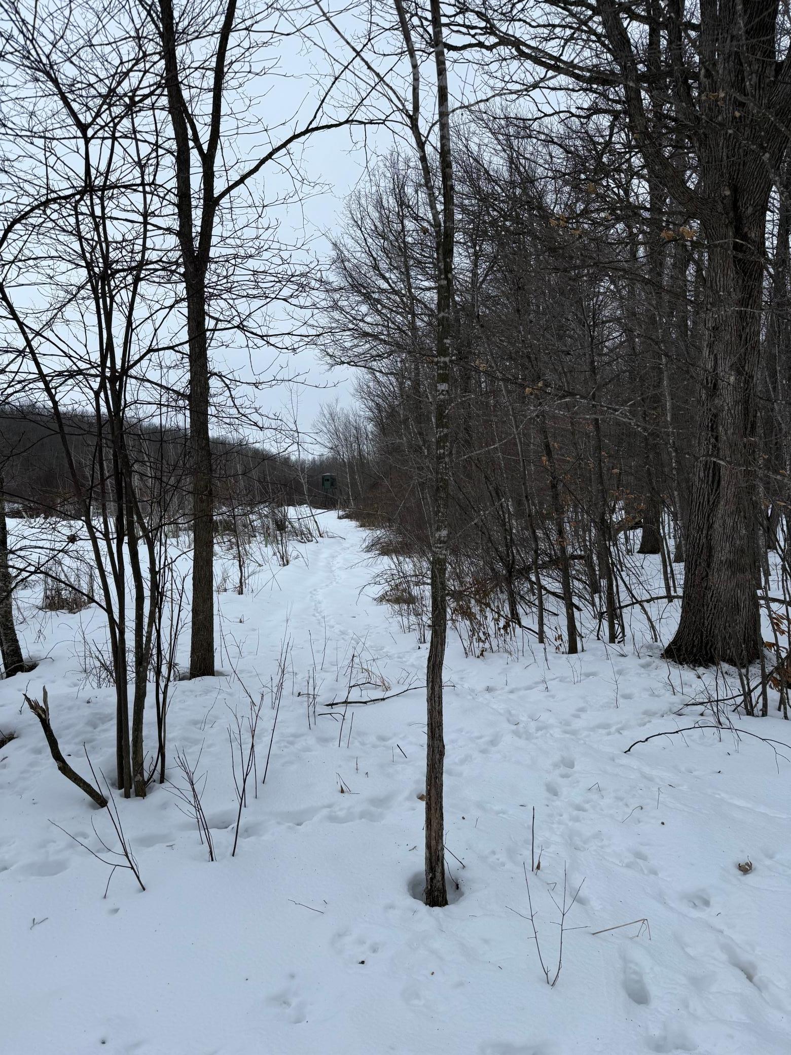 Xxx Xxx Merlin Road Milaca, MN 56353 - Photo 11 of 17