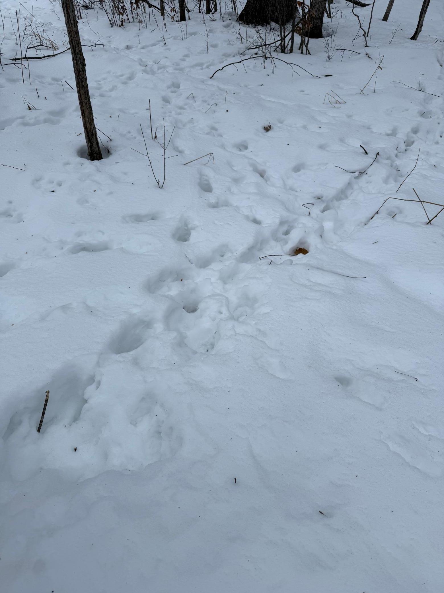 Xxx Xxx Merlin Road Milaca, MN 56353 - Photo 12 of 17