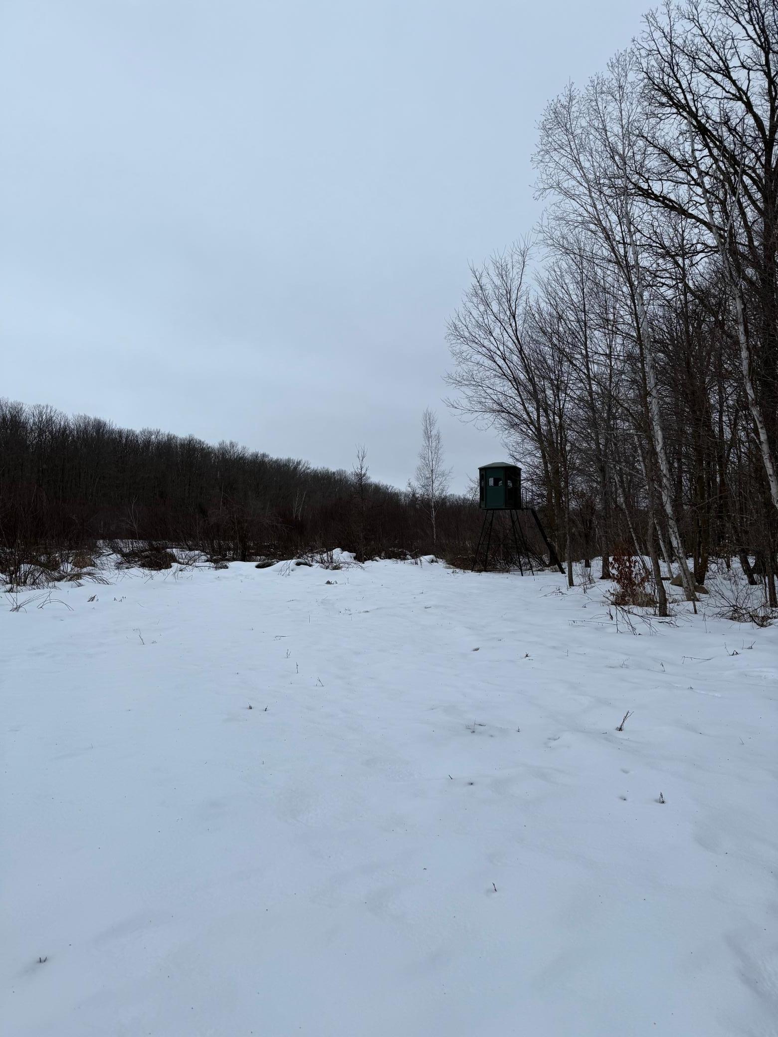 Xxx Xxx Merlin Road Milaca, MN 56353 - Photo 13 of 17