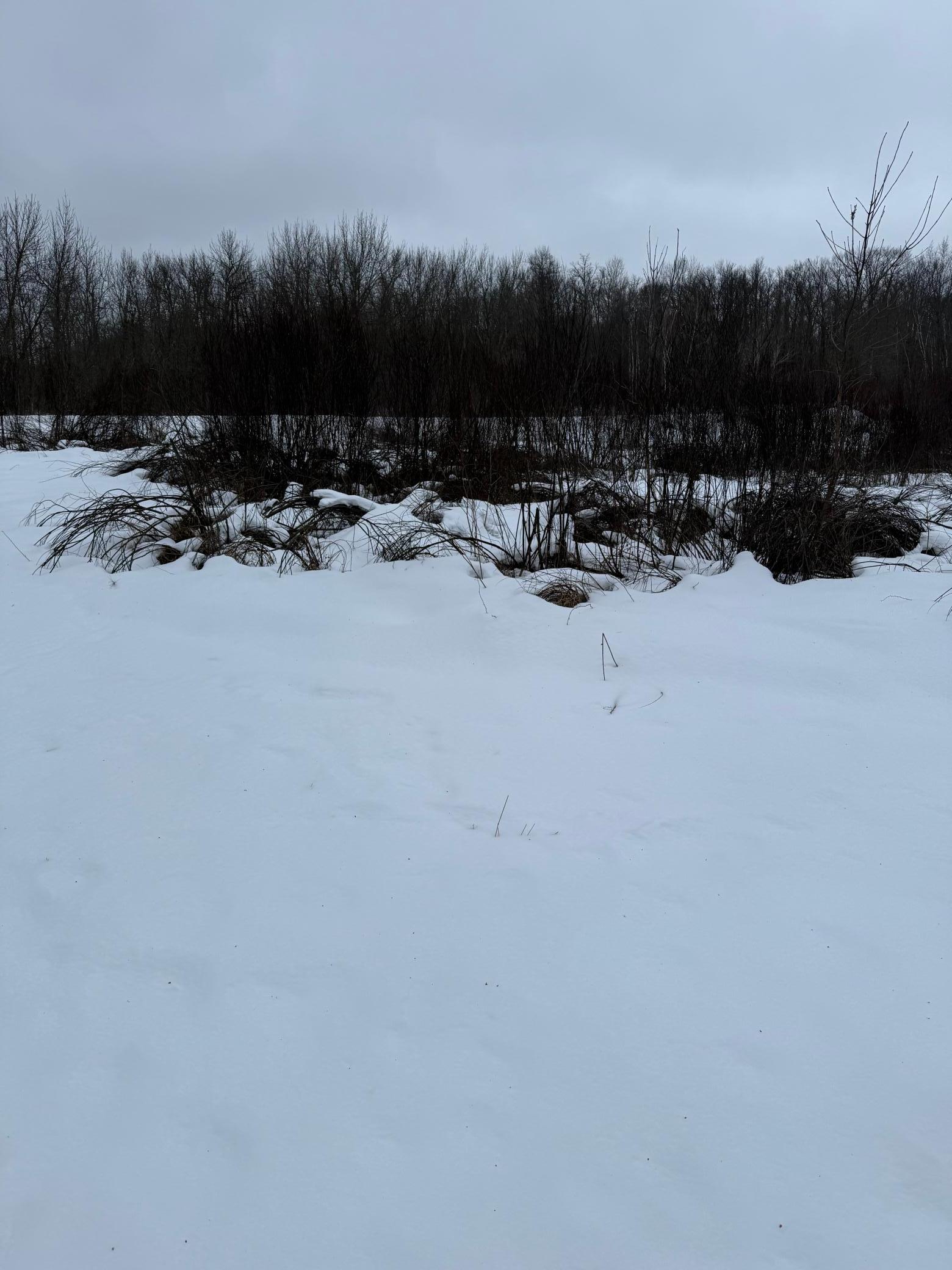 Xxx Xxx Merlin Road Milaca, MN 56353 - Photo 14 of 17