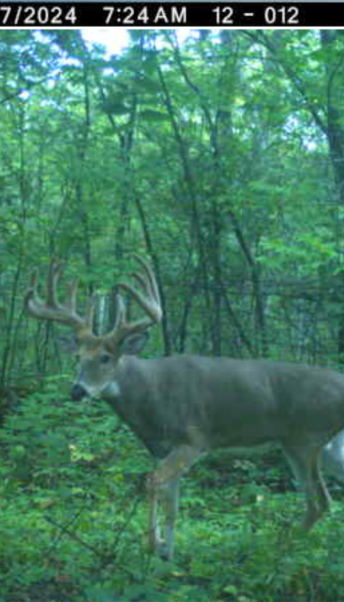 Xxx Xxx Merlin Road Milaca, MN 56353 - Photo 16 of 17