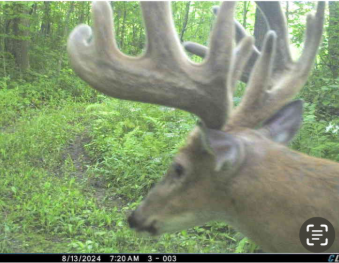 Xxx Xxx Merlin Road Milaca, MN 56353 - Photo 17 of 17