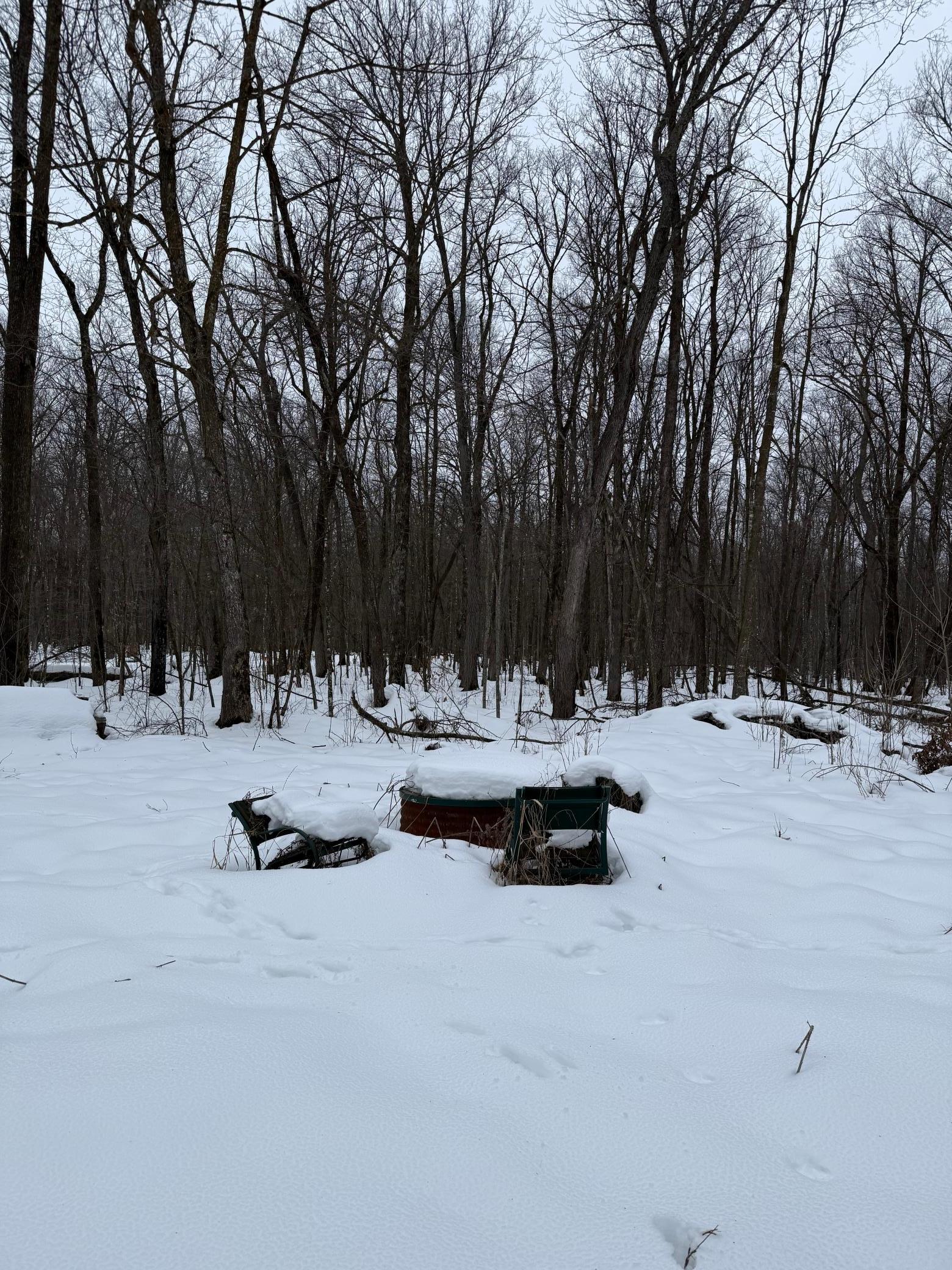 Xxx Xxx Merlin Road Milaca, MN 56353 - Photo 4 of 17