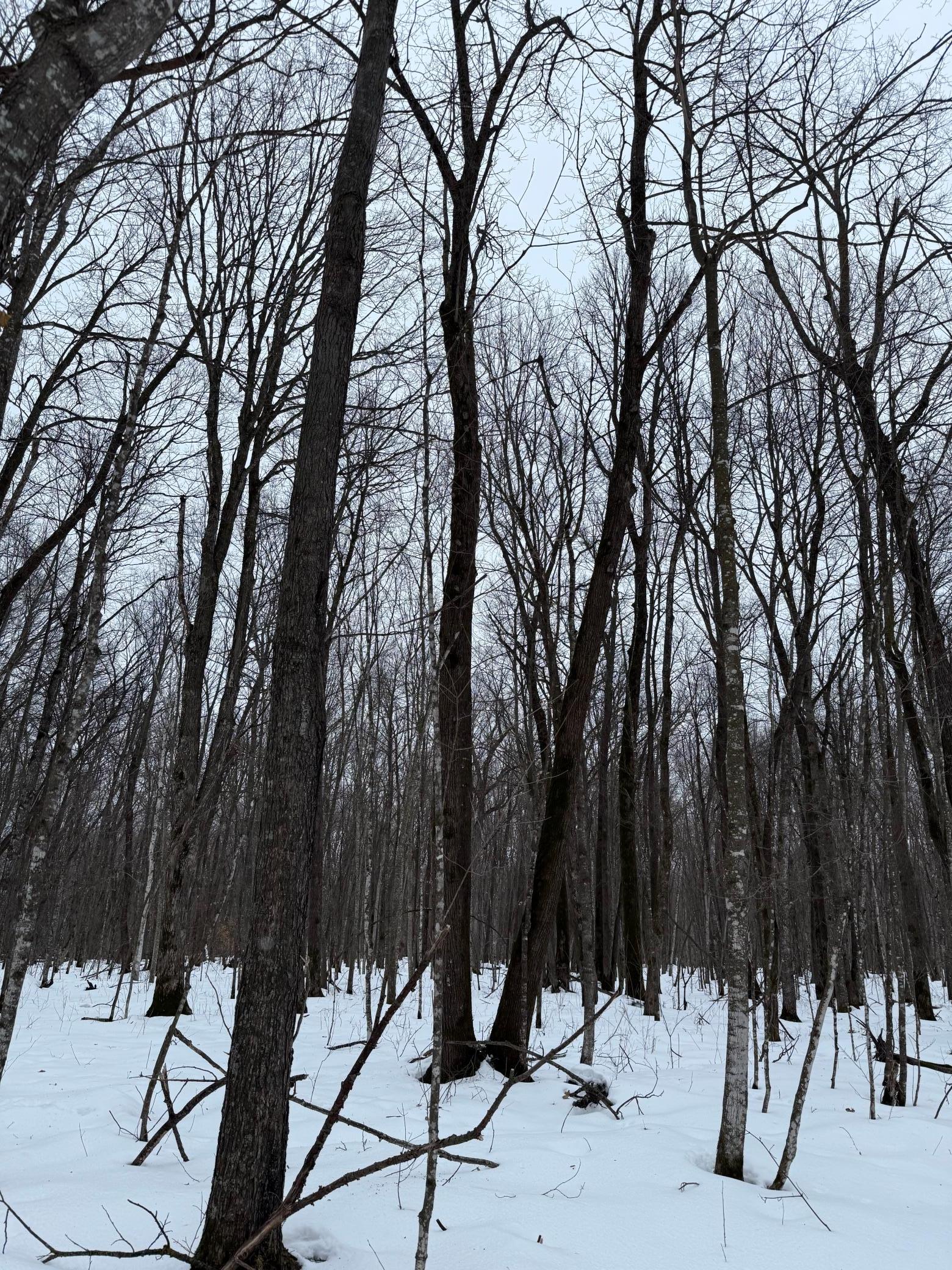 Xxx Xxx Merlin Road Milaca, MN 56353 - Photo 5 of 17