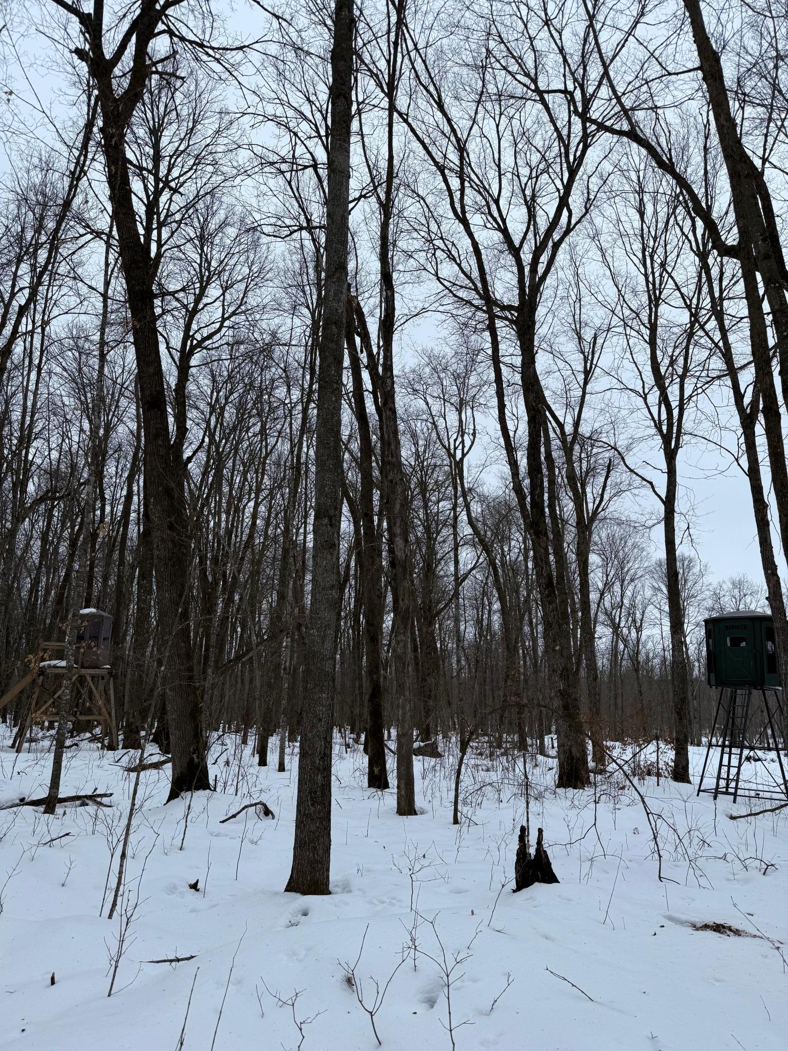 Xxx Xxx Merlin Road Milaca, MN 56353 - Photo 7 of 17