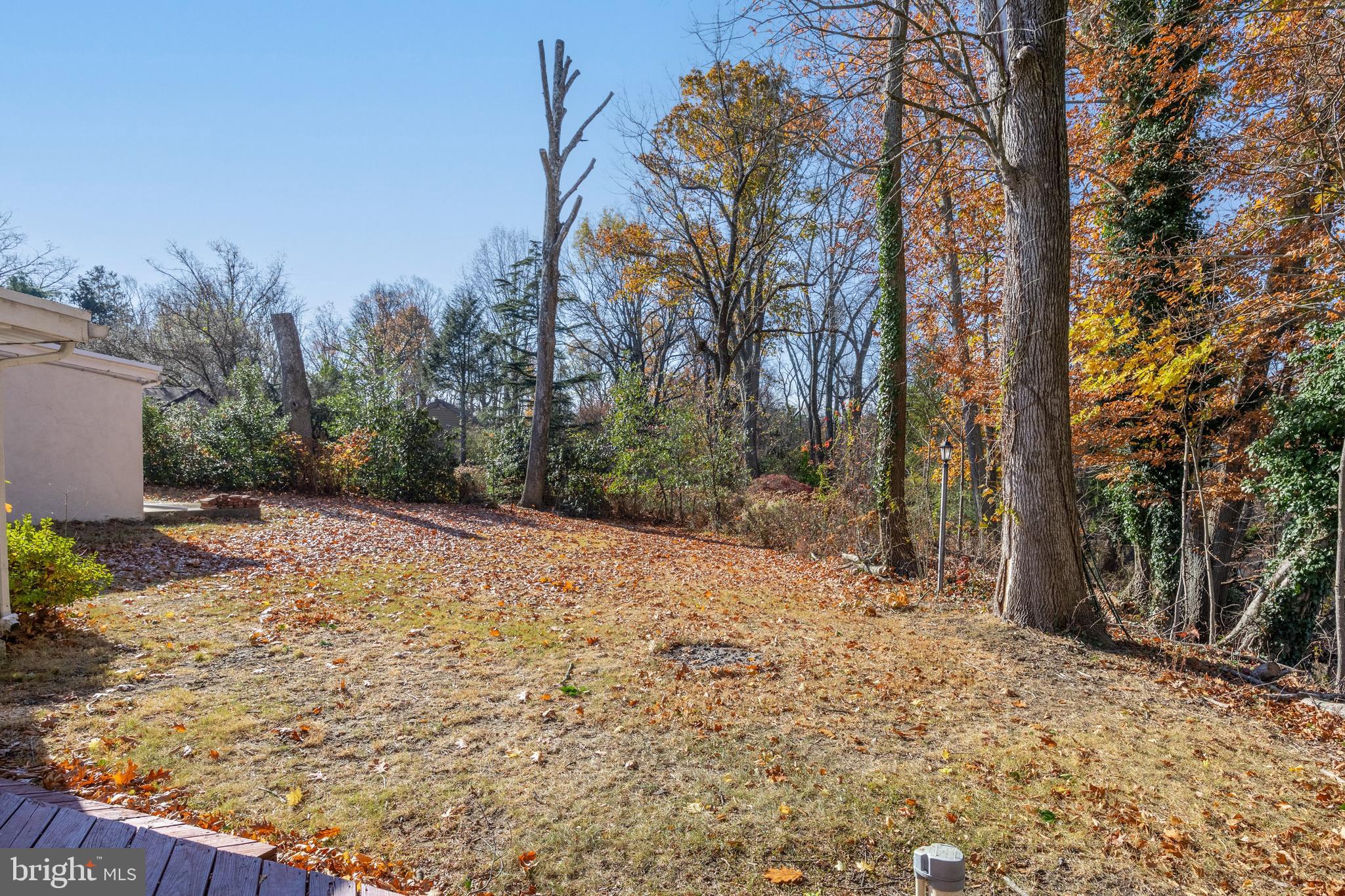 8 Lakeside Drive Medford, NJ 08055 - Photo 38 of 53 SIDEYARD