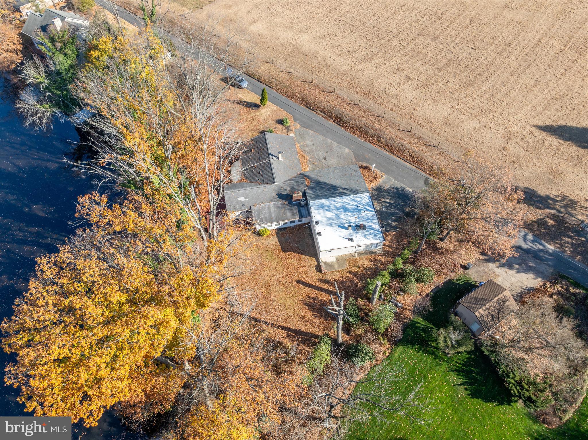 8 Lakeside Drive Medford, NJ 08055 - Photo 51 of 53 VIEW OF TREE LINE