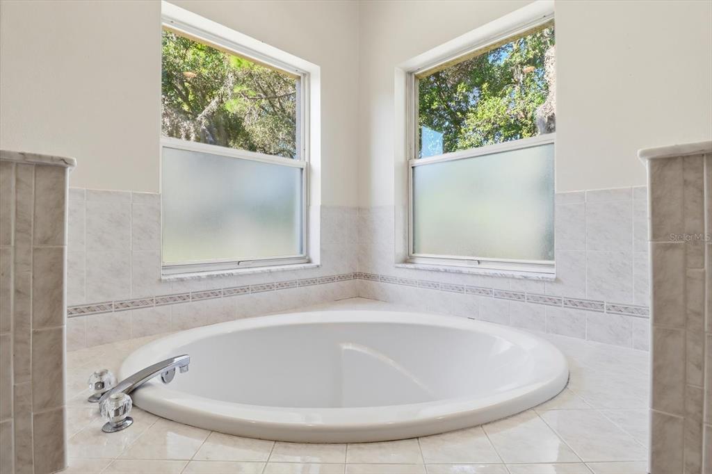 6301 West Glynborne Loop Crystal River, FL 34429 - Photo 33 of 63 a bathroom with a bathtub and window