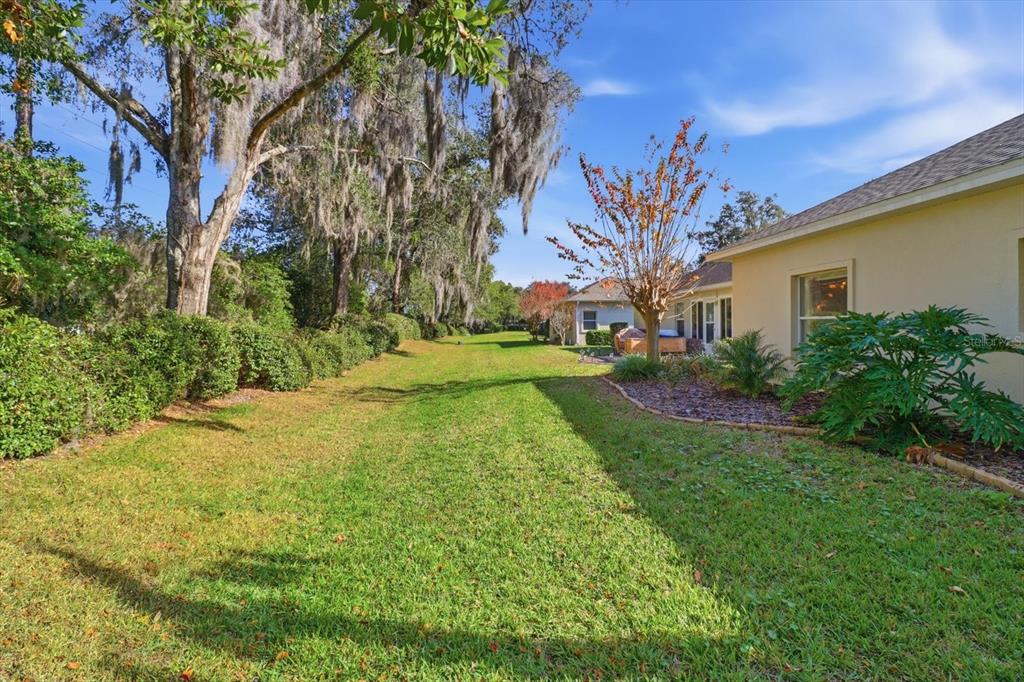 6301 West Glynborne Loop Crystal River, FL 34429 - Photo 45 of 63 a view of a backyard with plants and large tree