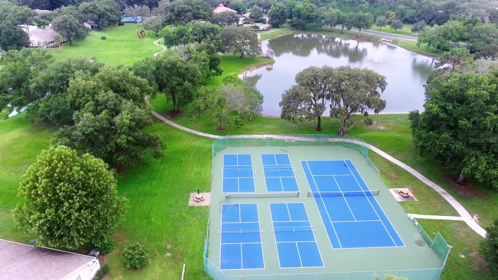 6301 West Glynborne Loop Crystal River, FL 34429 - Photo 57 of 63 a view of swimming pool