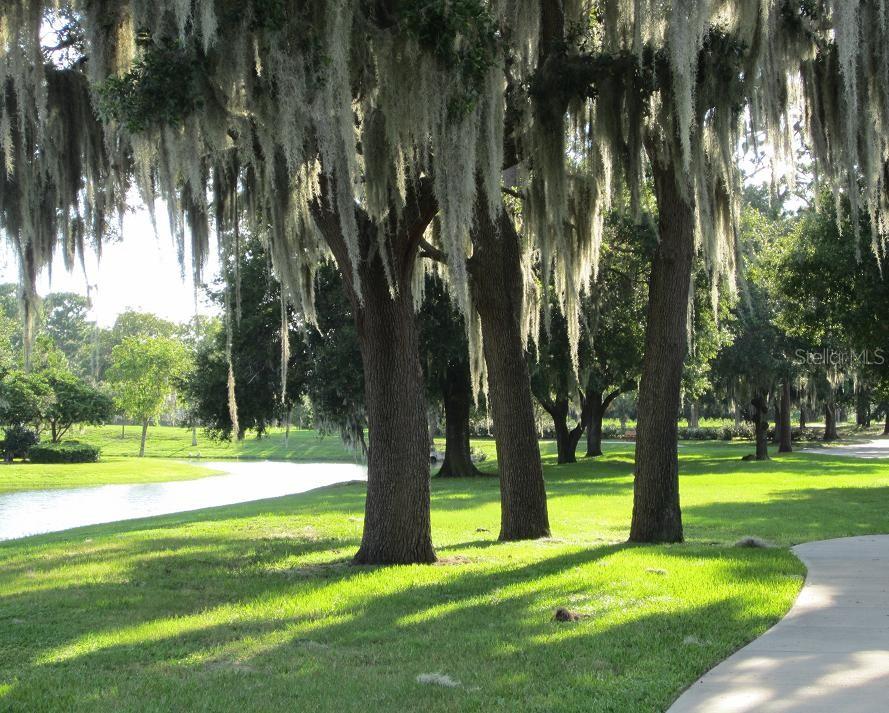 6301 West Glynborne Loop Crystal River, FL 34429 - Photo 61 of 63 a view of a park with trees