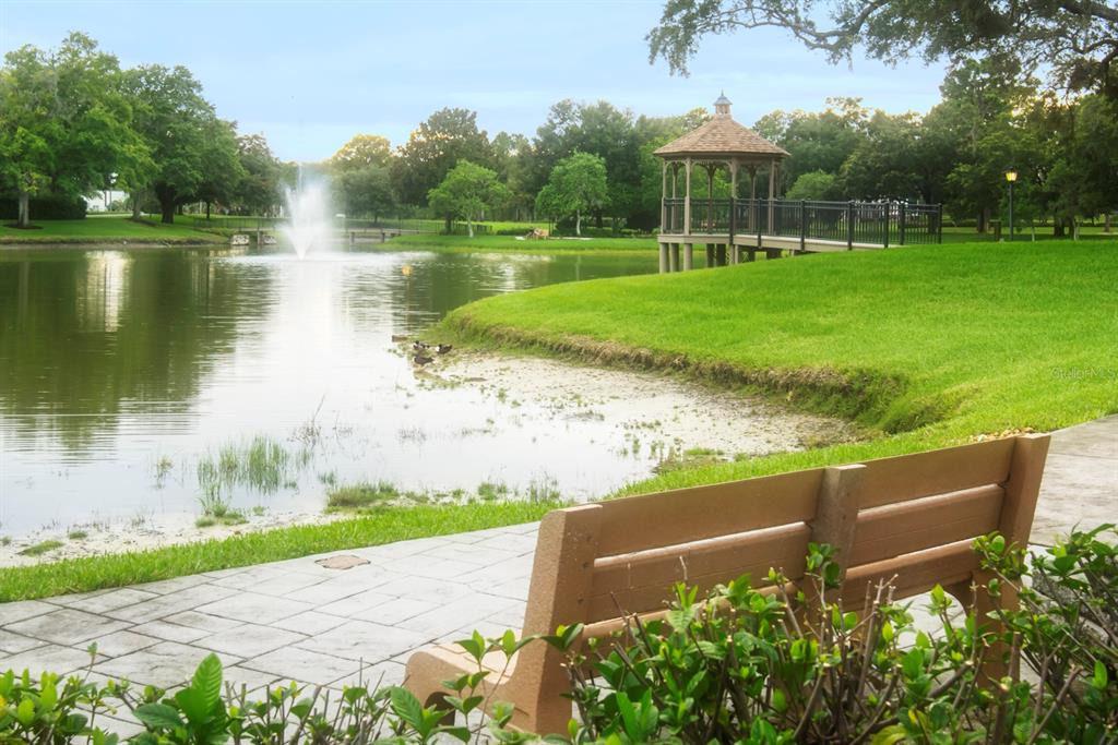6301 West Glynborne Loop Crystal River, FL 34429 - Photo 62 of 63 a garden view with a lake view