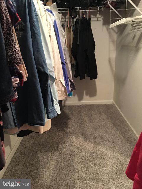 42 Hill Road Warminster, PA 18974 - Photo 27 of 44 a view of walk in closet with clothes and shoes