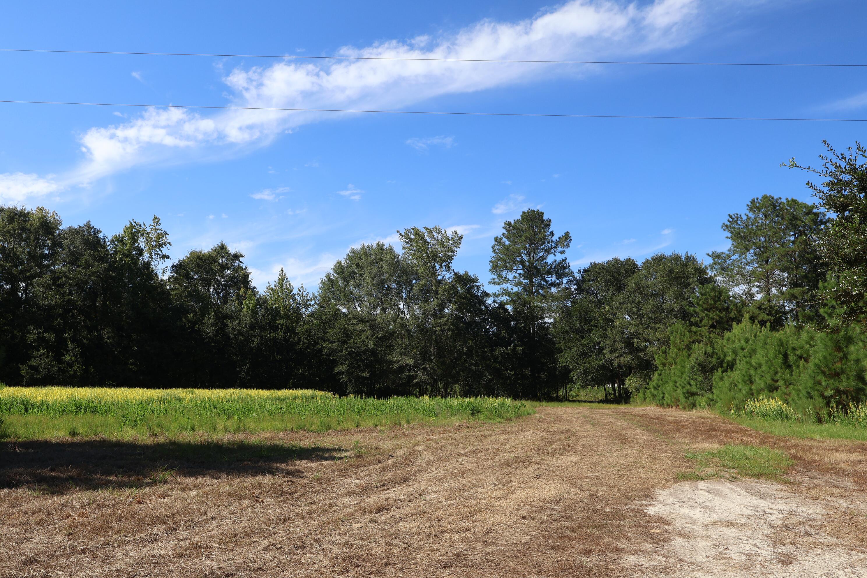 1349 Patton Road Manning, SC 29102 - Photo 11 of 13