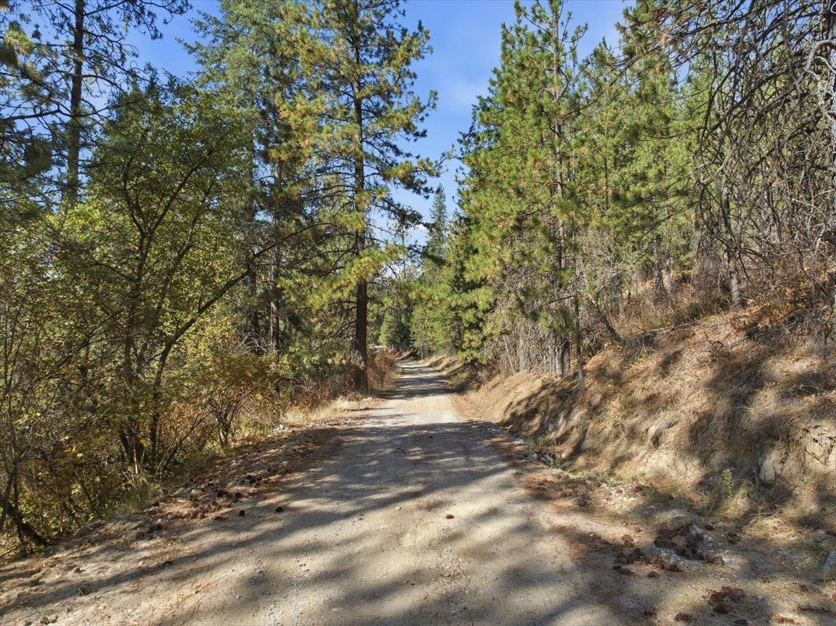 Tbd Tbd Unassigned Address Mead, WA 99021 - Photo 17 of 17 Gallery Image 17