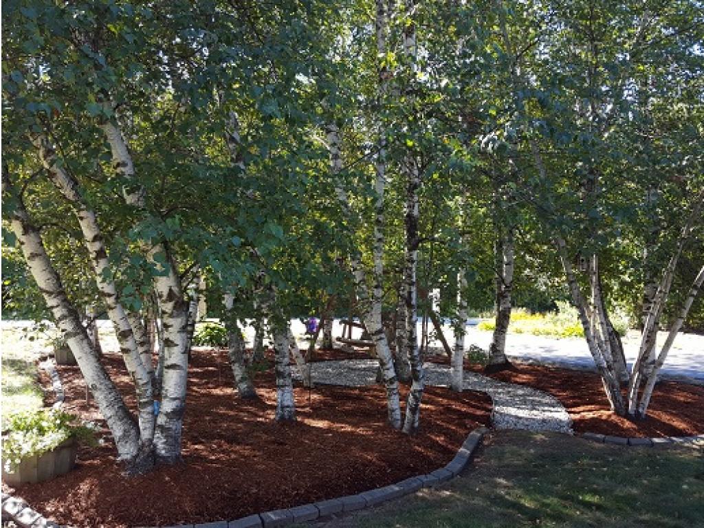 4 Spring Brook Drive Milton, NH 03851 - Photo 5 of 16