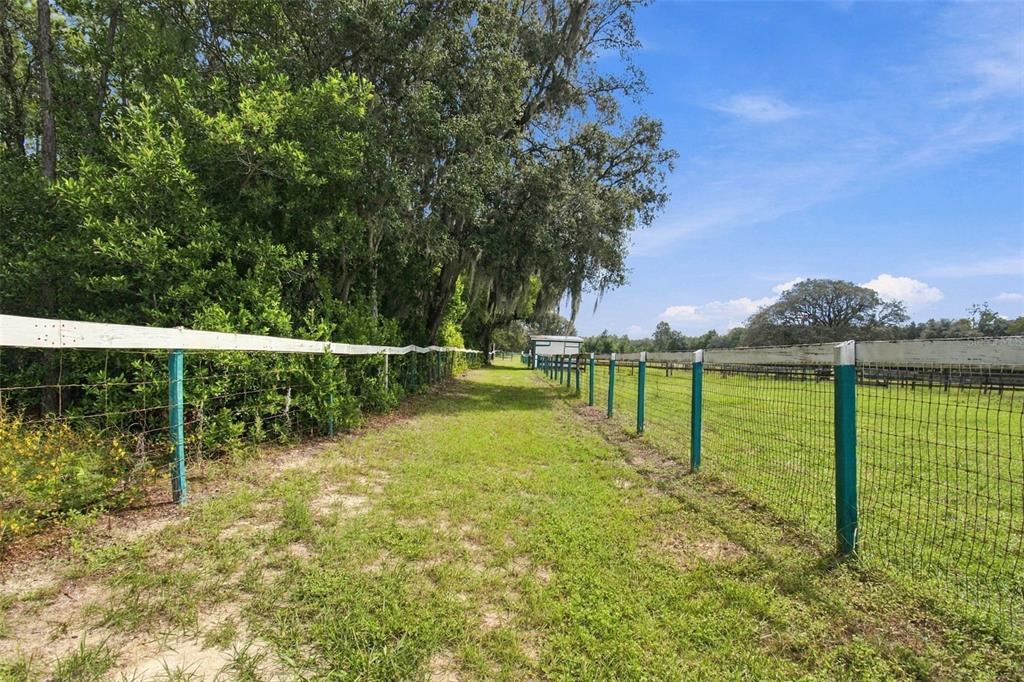 15700 Matis Road Hudson, FL 34669 - Photo 28 of 77 Gallery Image 28
