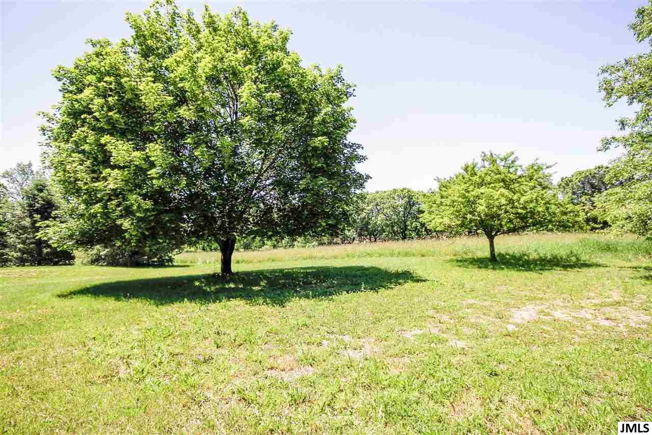 6600 Wellman Road Parma, MI 49269 - Photo 11 of 36 Photo 11