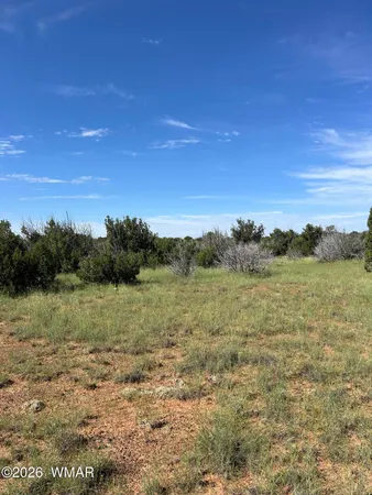 $7,500 | Lot 1933 Mills Lane, Concho, AZ 85924
