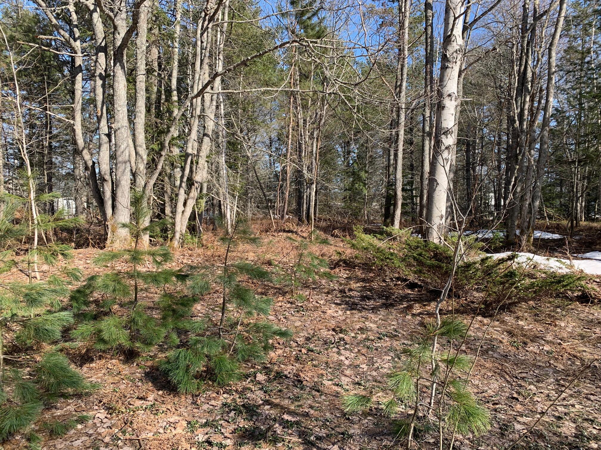 14900 North Whitefish Point Road Paradise, MI 49768 - Photo 7 of 15 Gallery Image 7