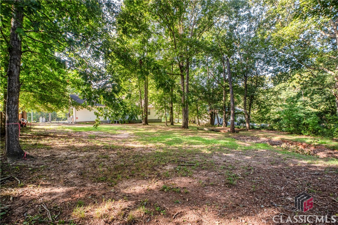 2965 Smokey Road Athens, GA 30601 - Photo 34 of 43 back yard