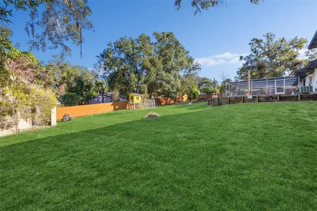 a view of a park with large trees