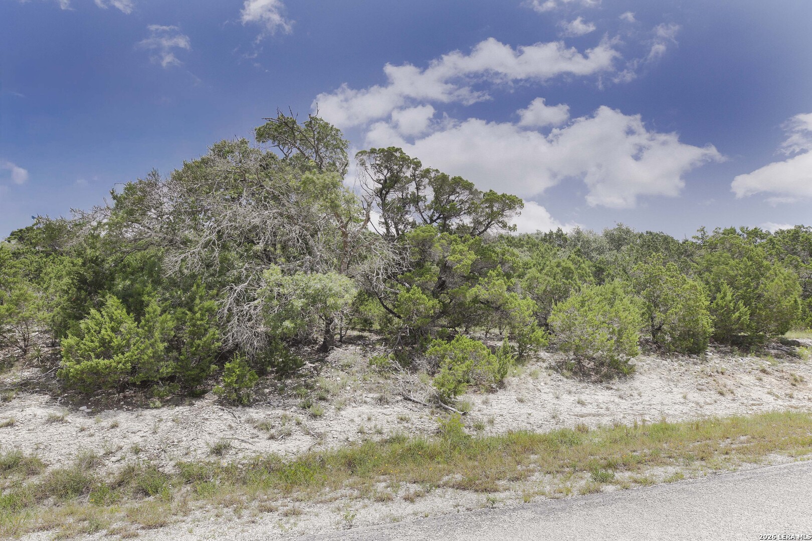 3009 Fallbrook Manor Bulverde, TX 78163 - Photo 55 of 56