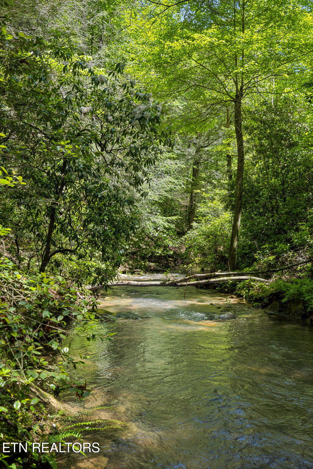 1460 Big Neck Road Grandview, TN 37337 - Photo 17 of 32 Creek