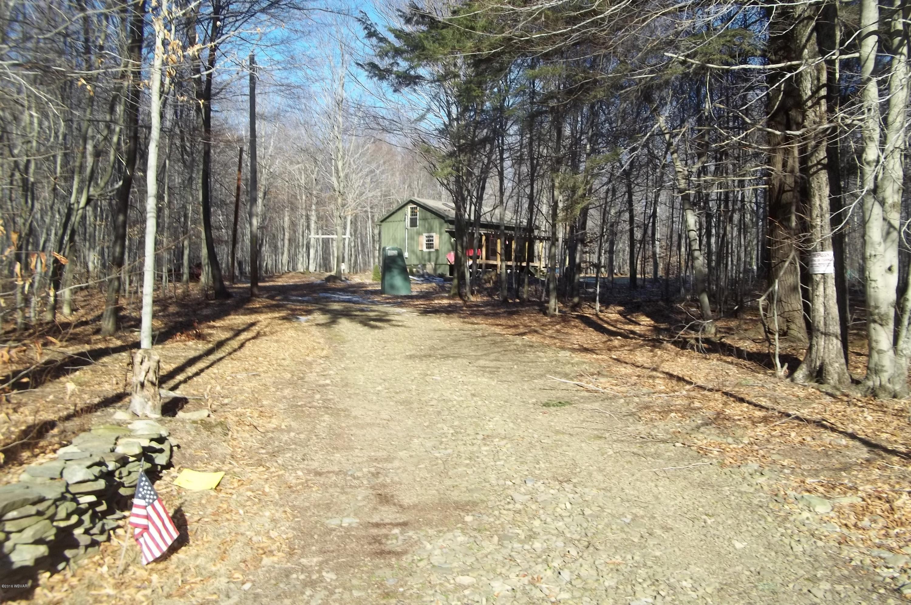 27 Grouse Run Road Forksville, PA 18616 - Photo 2 of 21 100_3256