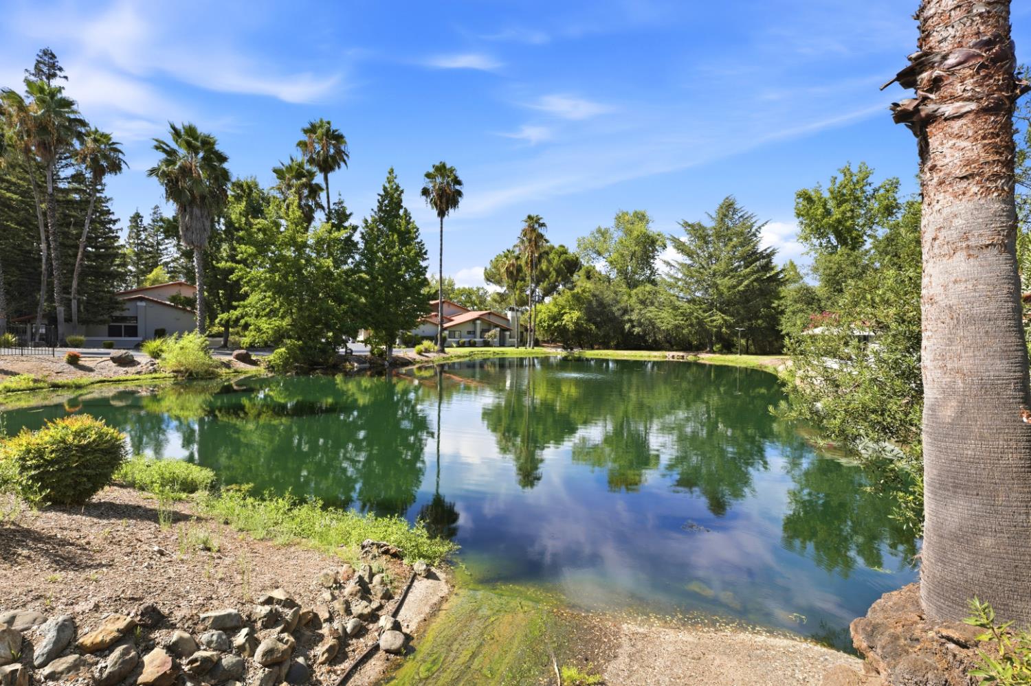 4934 El Ranchero Court Rocklin, CA 95677 - Photo 37 of 44 Gallery Image 37