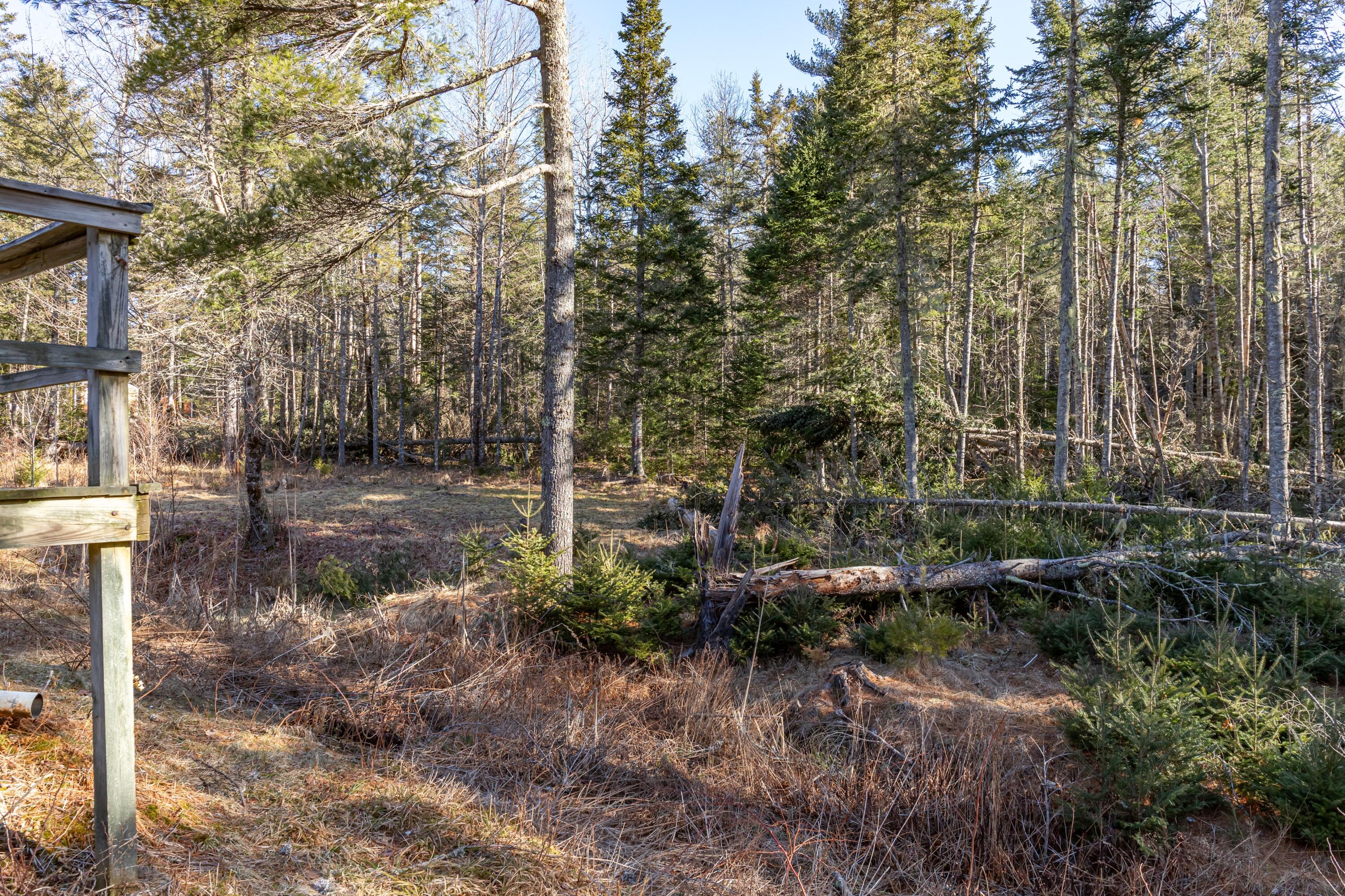 47 Dennis Road Orland, ME 04472 - Photo 30 of 37 Back yard