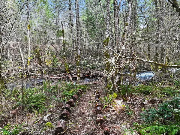 a view of a yard
