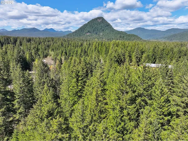 a view of a garden with plants