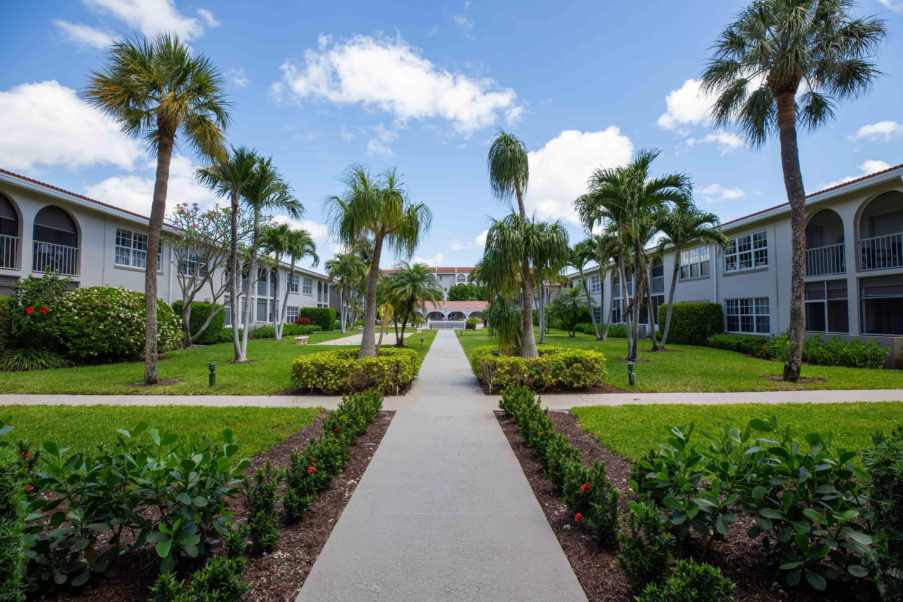 a view of a park with a palm trees