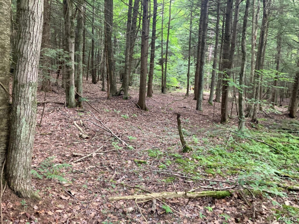 0 Rabbit Path Road Maine, NY 13802 - Photo 1 of 1 Gallery Image 1