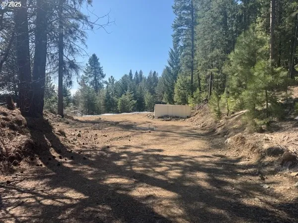 $75,000 | 605 Sumpter Valley Highway, Sumpter, OR 97877