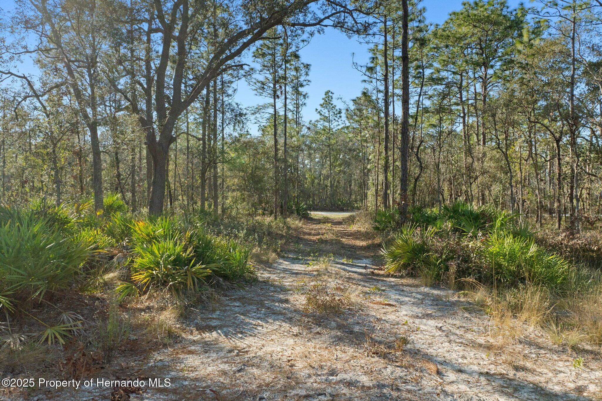 16046 Magpie Road Brooksville, FL 34614 - Photo 17 of 17