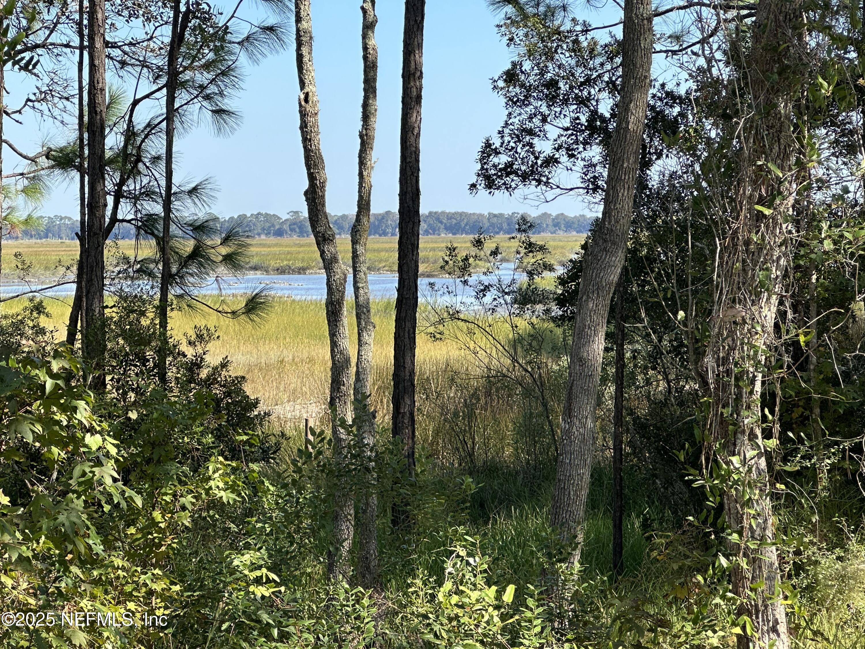 118 Historic Brick Lane St. Augustine, FL 32095 - Photo 3 of 36 a view of lake from next to house with trees